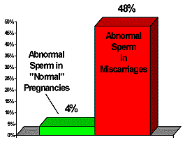 Marajuna affects sperm and fetus